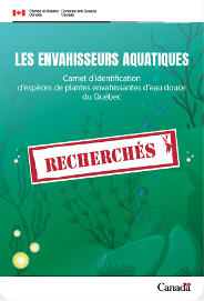 Autres especes envahissantes