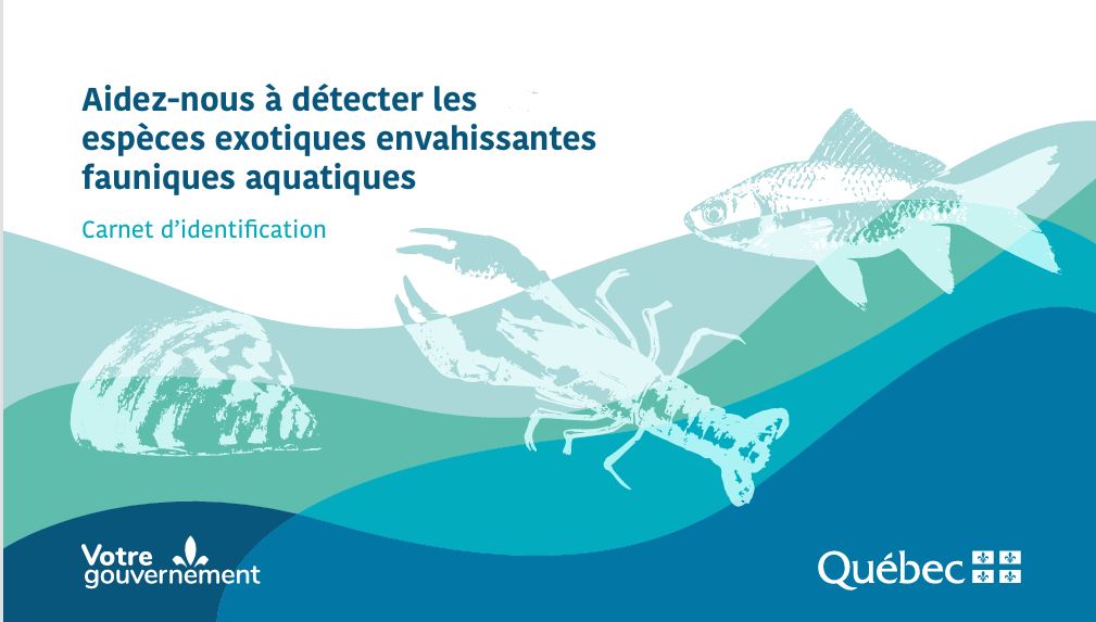 Especes envahissantes animaux aquatiques