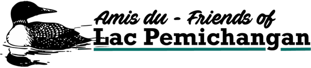 Amis du Lac Pemichangan